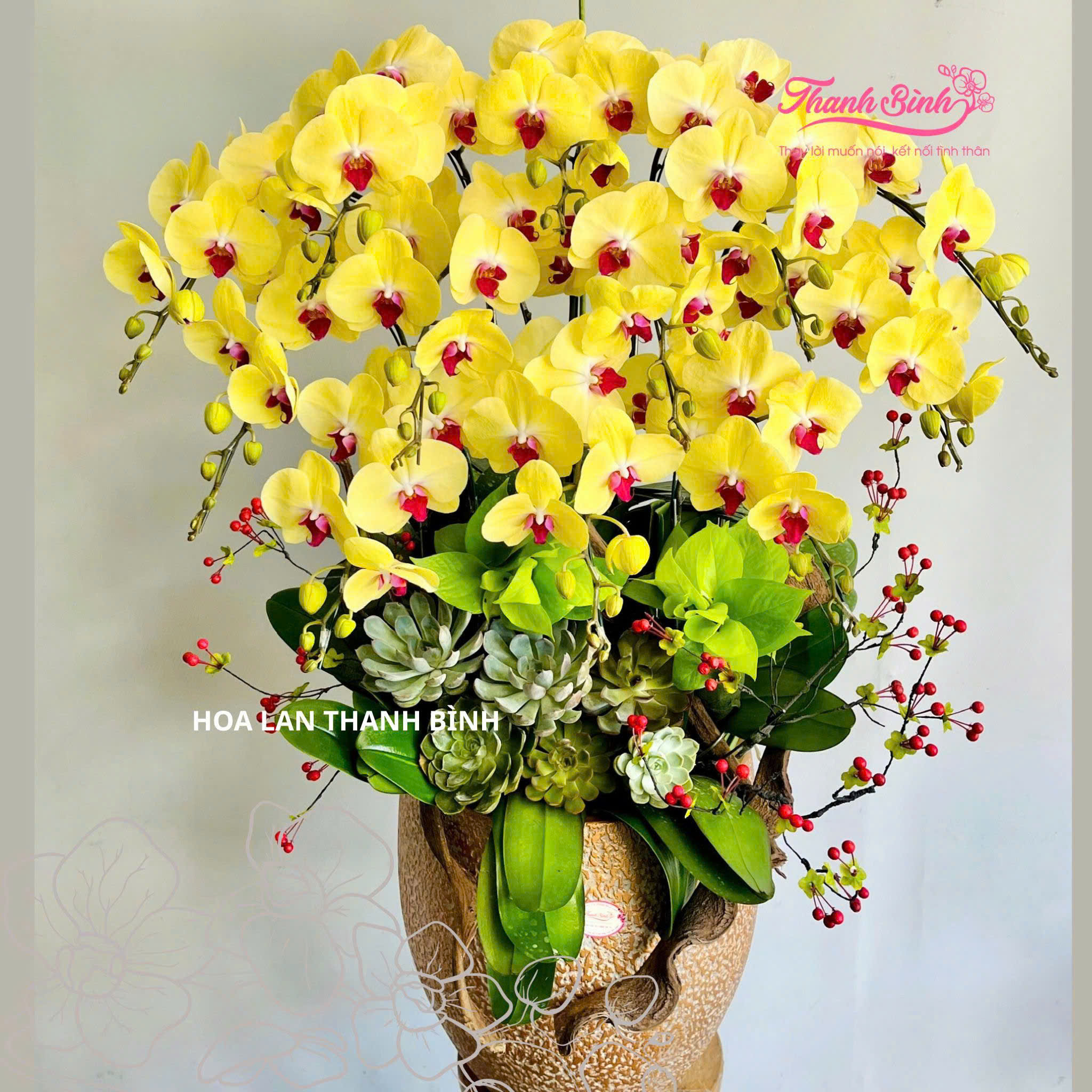 Lan hồ điệp màu vàng 15 cành - AH158